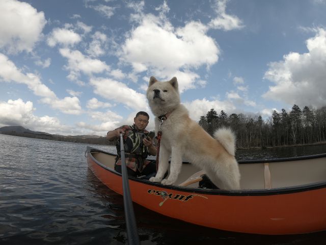 わんちゃんも一緒に乗れますよ。大型犬の場合は要相談。