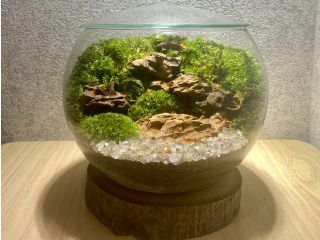 【スペシャルコース】 テラリウム♪サンプル