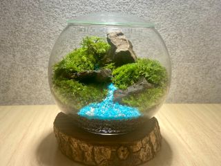 【スタンダードコース】 テラリウム♪サンプル