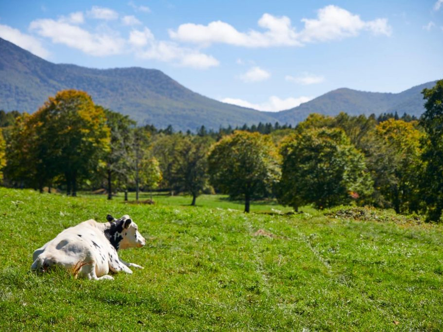 妙高高原ネイチャーガイドツアーbコース 笹ヶ峰コース 妙高観光局 じゃらん遊び体験