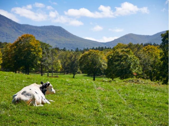 妙高高原ネイチャーガイドツアーbコース 笹ヶ峰コース 妙高観光局 じゃらん遊び体験 妙高高原ネイチャーガイドツアーbコース 笹ヶ峰コース 妙高観光局 じゃらん遊び体験