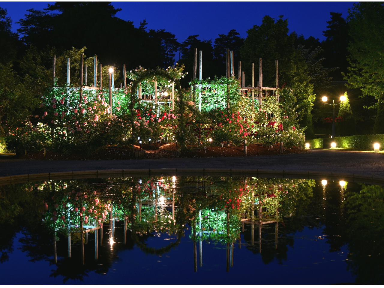 期間限定 ムーンライト フラワーガーデン 入園チケット 日本最大級のフラワーパーク を14 000個もの灯りが柔らかに包み込む非現実な世界へ とっとり花回廊 じゃらん遊び体験 期間限定 ムーンライト フラワーガーデン 入園チケット 日本最大級のフラワーパーク を14 000個もの灯りが柔らかに包み込む非現実な世界へ とっとり花回廊 じゃらん遊び体験