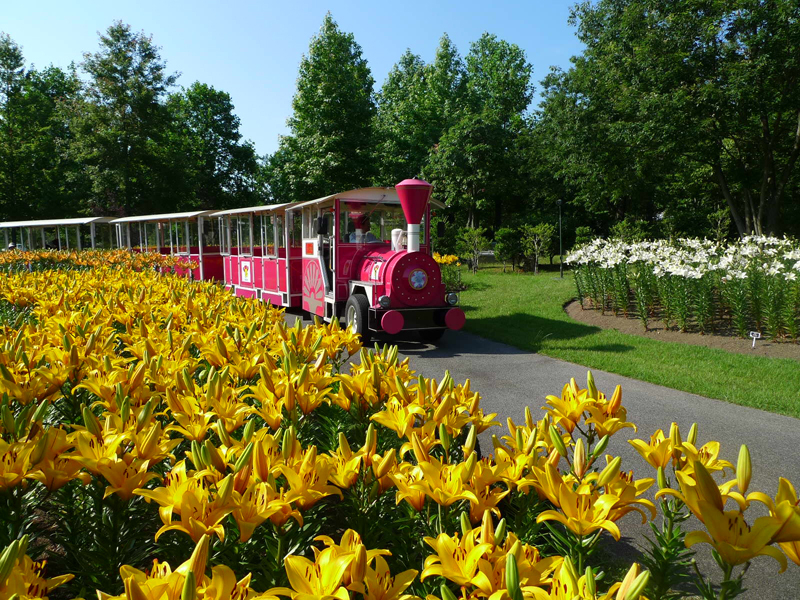 �t�����[�g���C�������Ă܂���