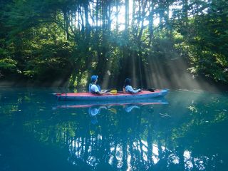 静けさの中、鏡のような湖面と気持ちの良い陽光が楽しめます