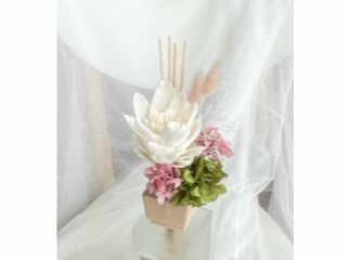 プロテア ディヒューザーなどに挿して飾っていただけます。(ディヒューザーはついておりません。)