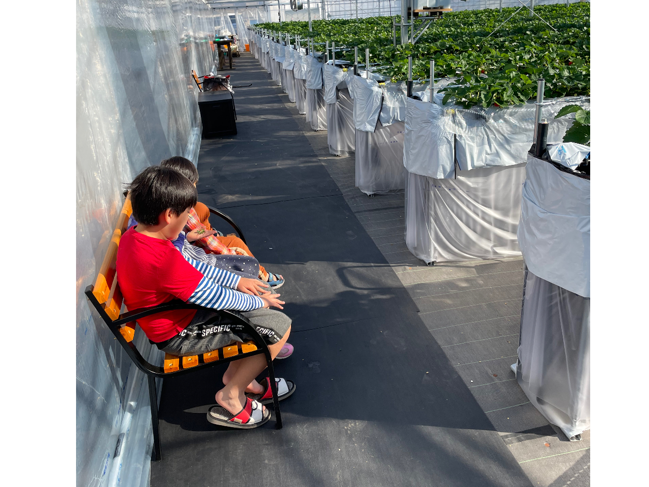 Ԉ֎qxr[J[łړyXȍLʘHłB