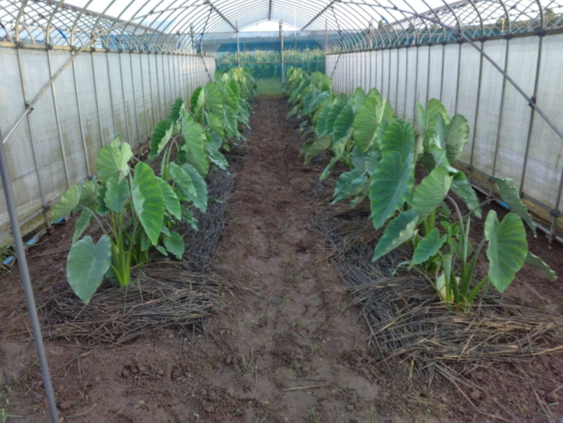 NAD]܂AuvíAHނ́uCVvłBAu@̌vo܂B