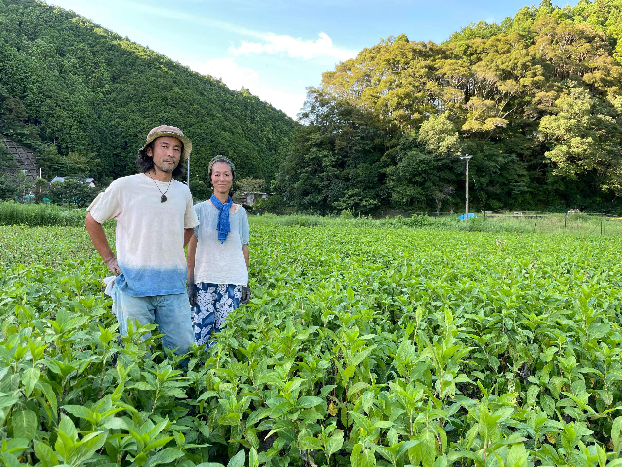 BɂȂ闕͑SĖ_͔|Ă܂B