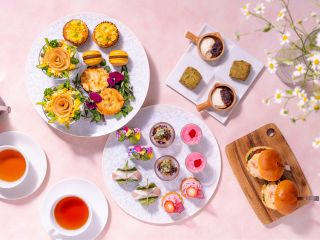 春〜桜をイメージして〜