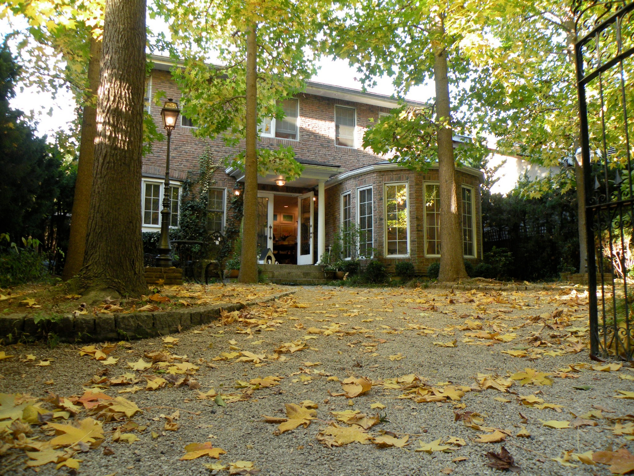 お庭では四季折々のお花が咲き、秋には庭木の紅葉が楽しめます。