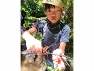 こんな生き物も!!