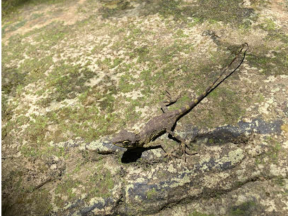 �������邩�ȁH