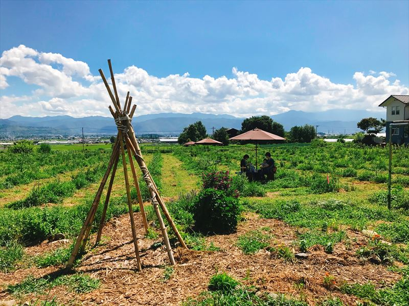 �M�B���ܖ�̖L���Ȏ��R�̒��ł������Ƃ��߂�����������