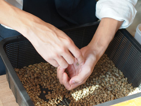  EẽR[q[̊ittlɂ