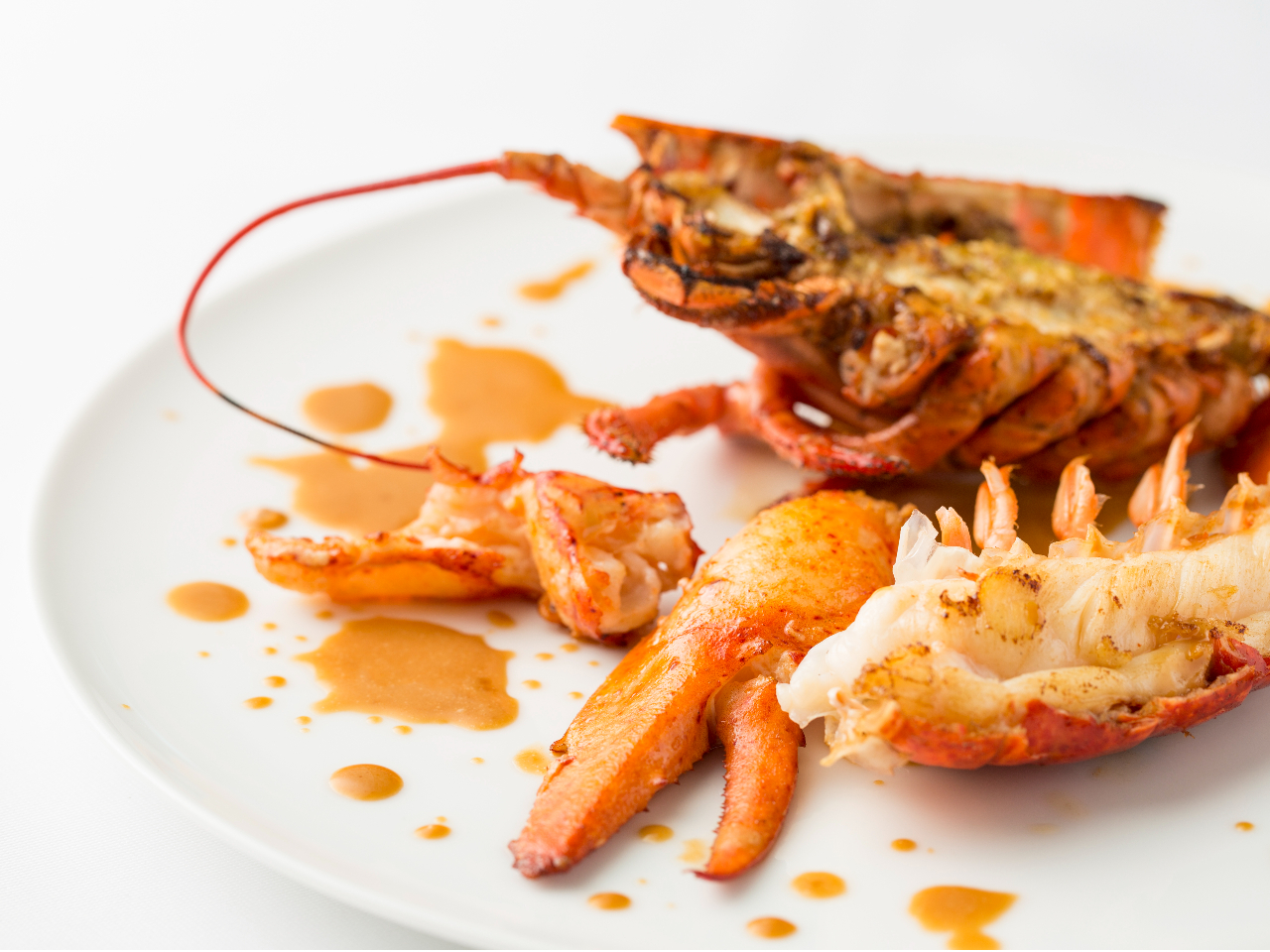 fނ̎|݂oƐD̃P[Vœʂ1ɁG߂ɂeقȂ܂B