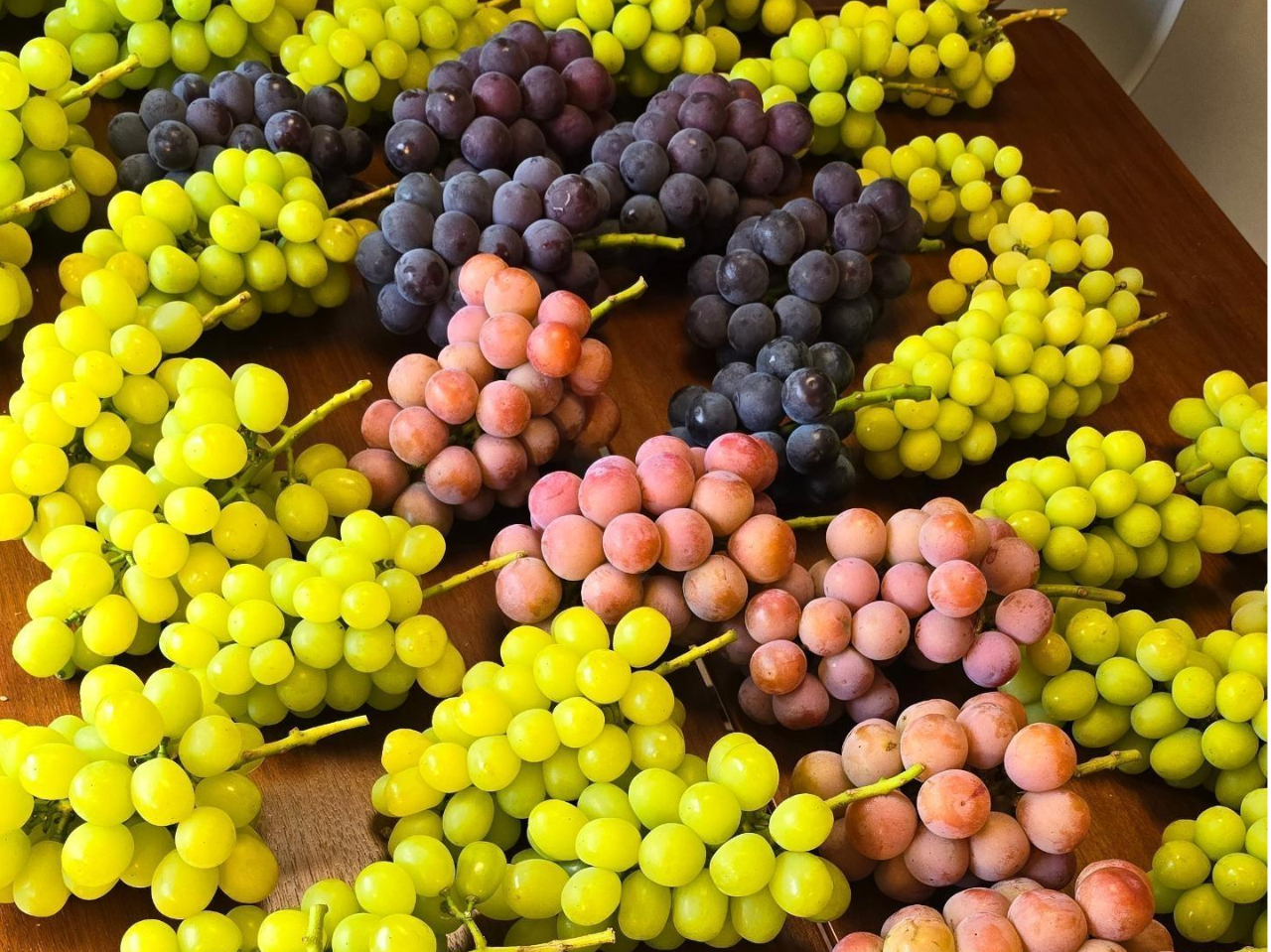 ̕iiNC[j[iAubNr[gȂǁjĂ܂B G߂ɂ񋟏oȂi܂B