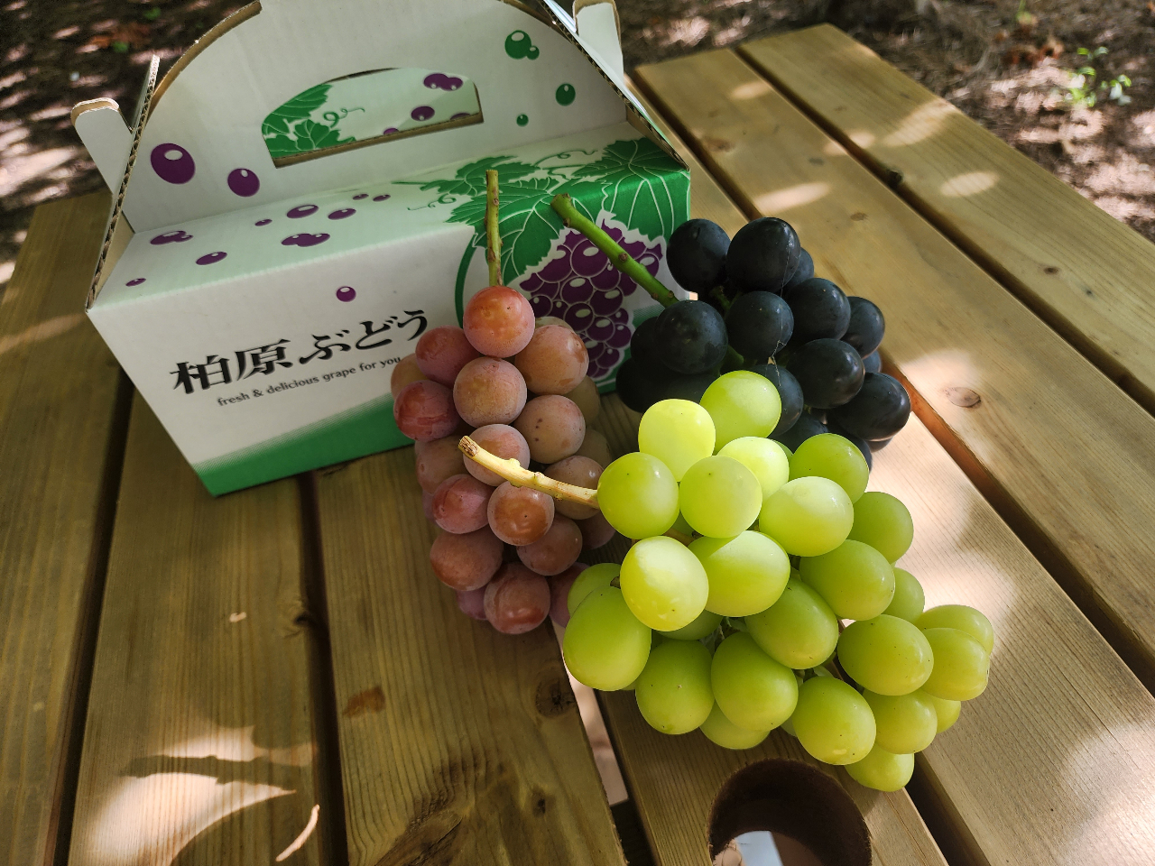 ���y�Y�p�́u�u�h�E�̋l���킹�v�ł��I