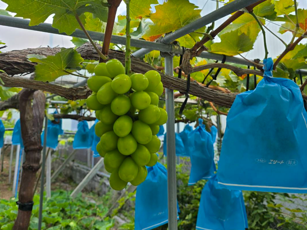 œEݎVC}XJbgŖĒ܂B(EݎuhE͎ōwVXełB̂肷eɂĉ )