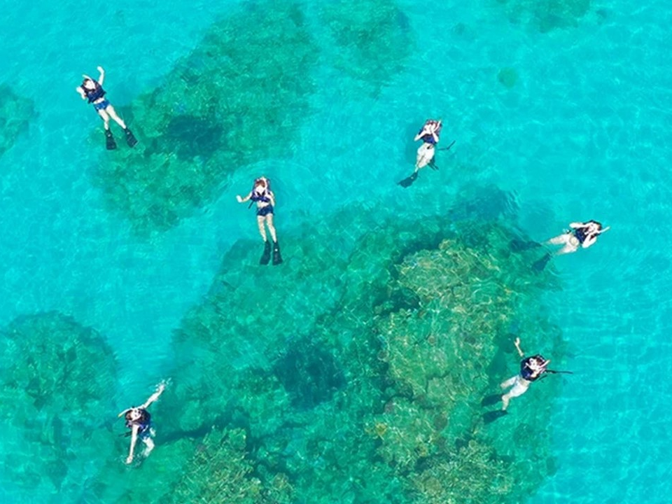 󂩂瓧xǂ̂ŃTST܂镪