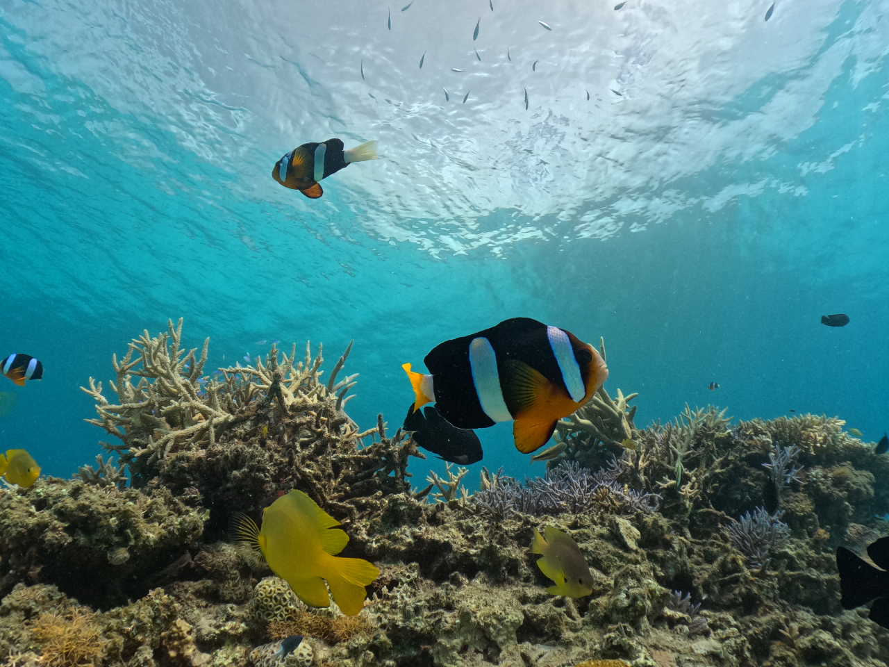 C\M`Nώ@ăN}m~3ތĂ݂ĉ