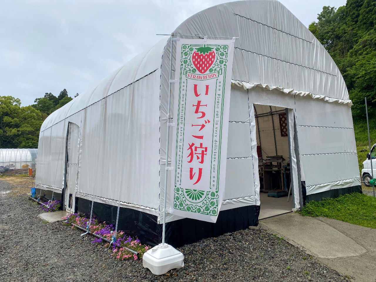 ��t�͔����n�E�X�Ɗ����ڈ�