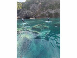海の蒼さに感動