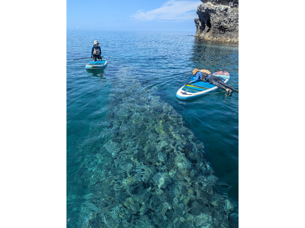 �C�̒����̂������ނƂ��̓����x�ɋ���