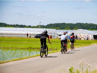 のどかな雰囲気を全身で感じられるサイクリングツアー