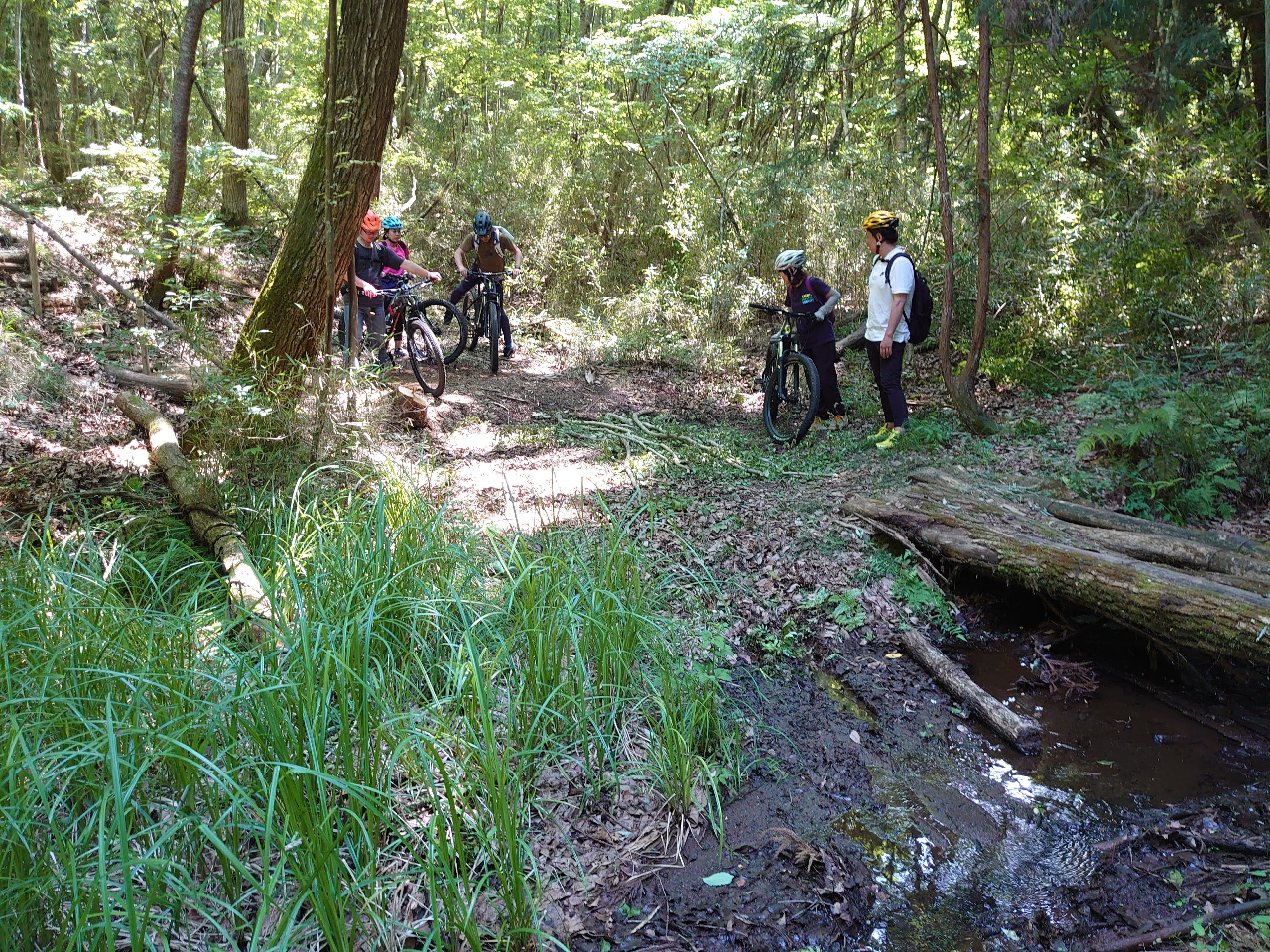 ؁XԁAɒrcLȎR̒̃TCNOŃtbV