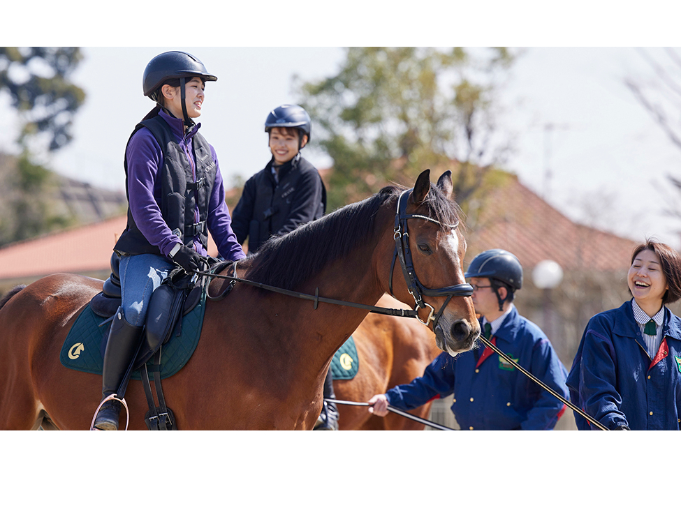 つくば 乗馬体験 乗馬体験１回コース いまこそ乗馬で馬と一緒にリフレッシュ 乗馬クラブクレイン茨城 じゃらん遊び体験