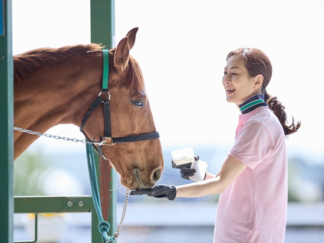 茨城県民限定！乗馬体験特別ご招待!!5/3（土）～5/11（日）まで約80頭