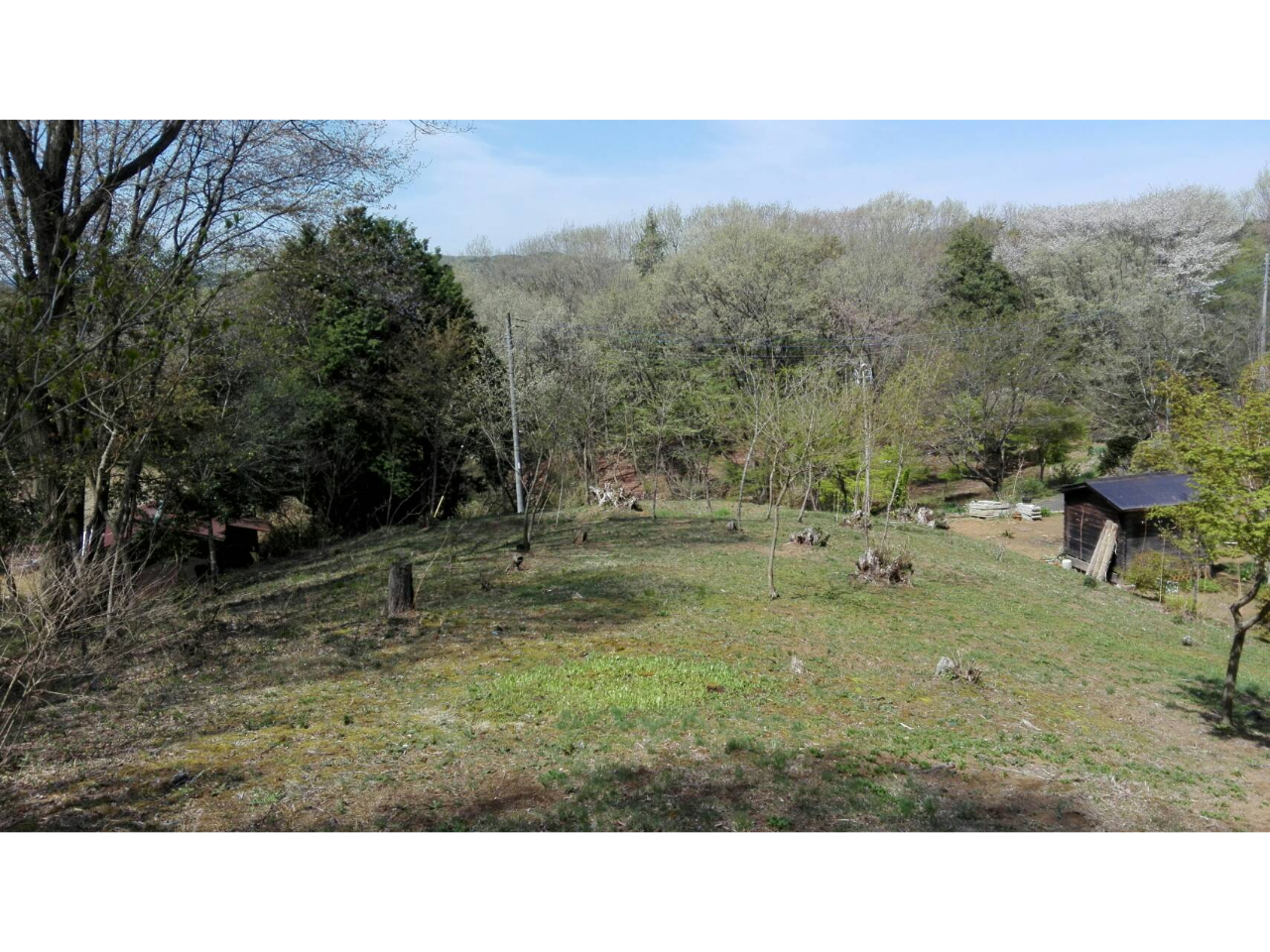 uR̍H[ q()v́A錧}Ԏs̗ɂARɈ͂܂ꂽH[łB