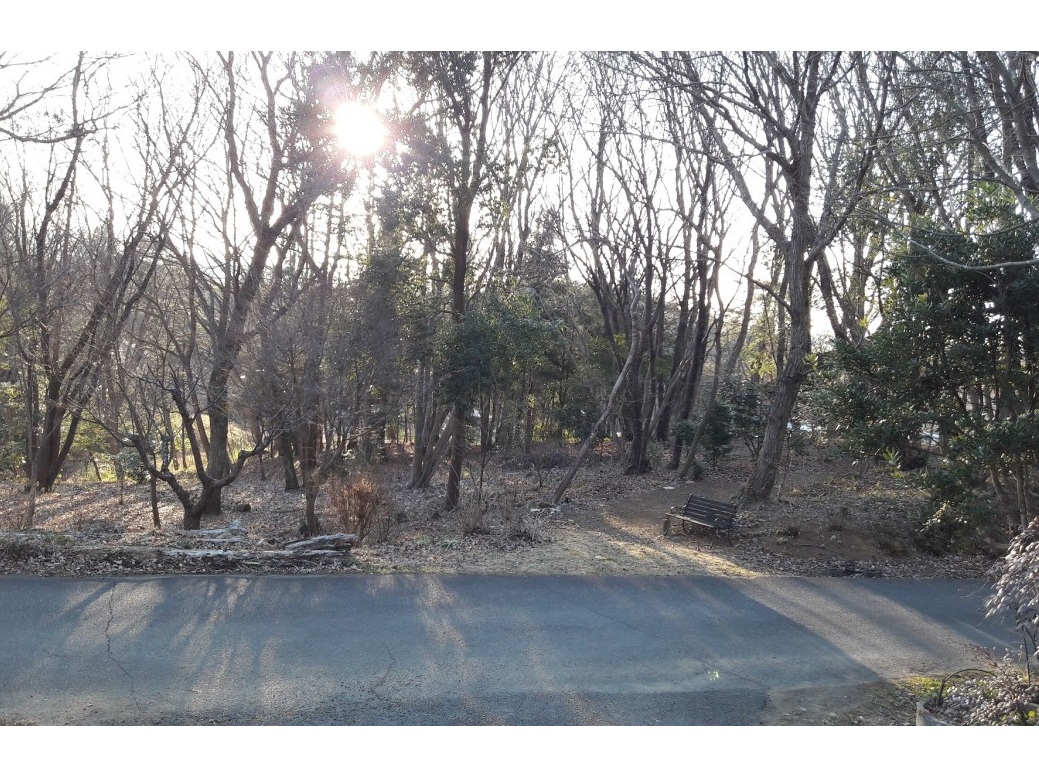 「山里の工房 樹窯(いつきがま)」は、茨城県笠間市陶の里にある、自然に囲まれた工房です。