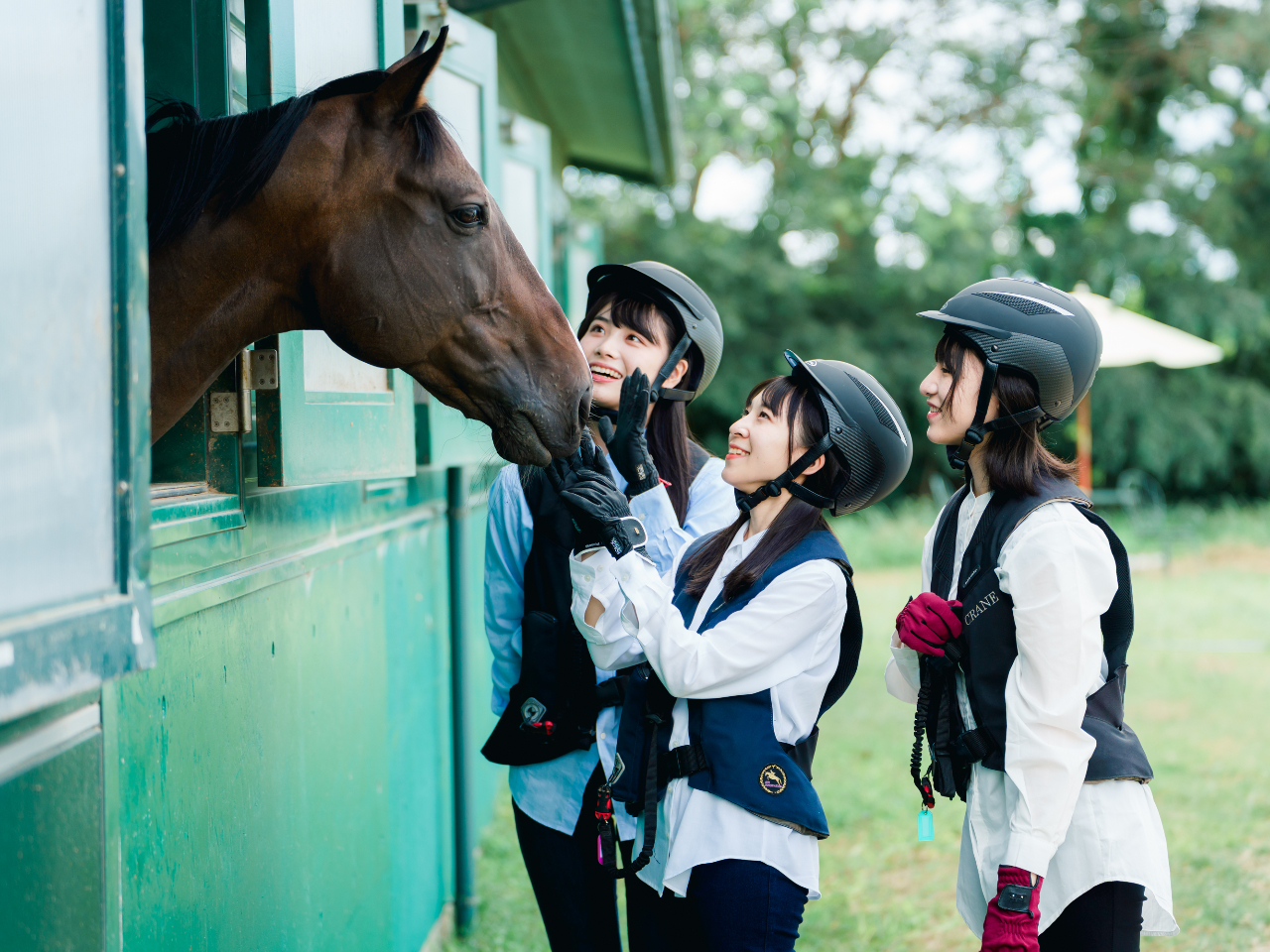 【乗馬体験１回コース】内灘海岸のすぐ横で乗馬体験★馬に触れたことない方も安心！馬...