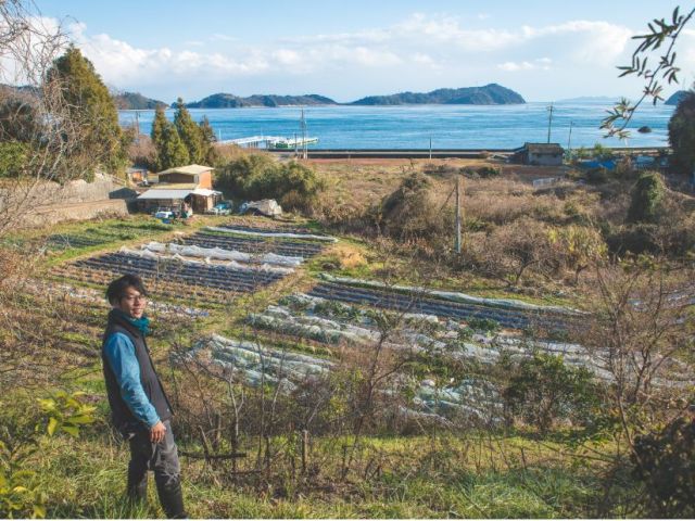 海と畑がいっぺんに見渡せるステキなしましま農園の畑