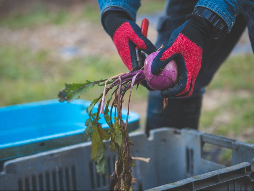 CɂȂ؂3iڂقǂyYƂĎnAI