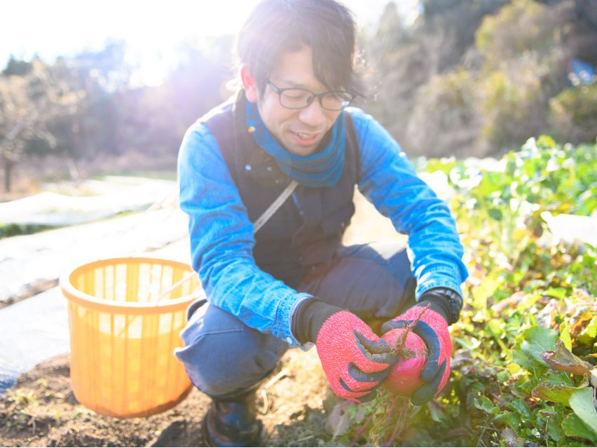 iڂ̖؂͔|Ă锨͂ǂ̋G߂ł₩I