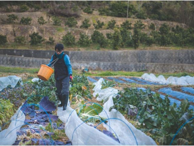 畑を回りながら野菜のあれこれを聞くことが出来ます!