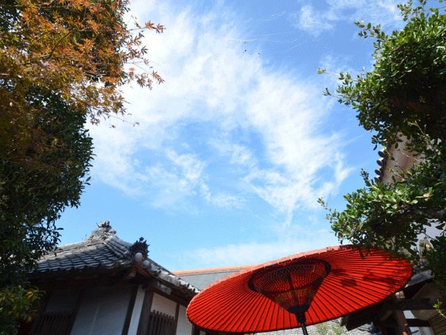 抹茶体験 香川県 木田郡 女性 カップルにおすすめ 初心者向け 渡邊邸 じゃらん遊び体験 抹茶体験 香川県 木田郡 女性 カップルにおすすめ 初心者向け 渡邊邸 じゃらん遊び体験