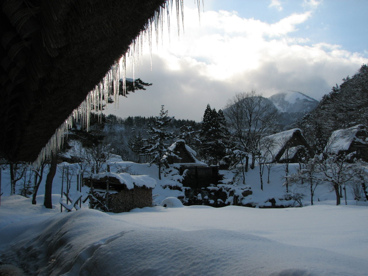 合掌造り民家園 入園券【12~2月】 営業時間中いつでも入園可能