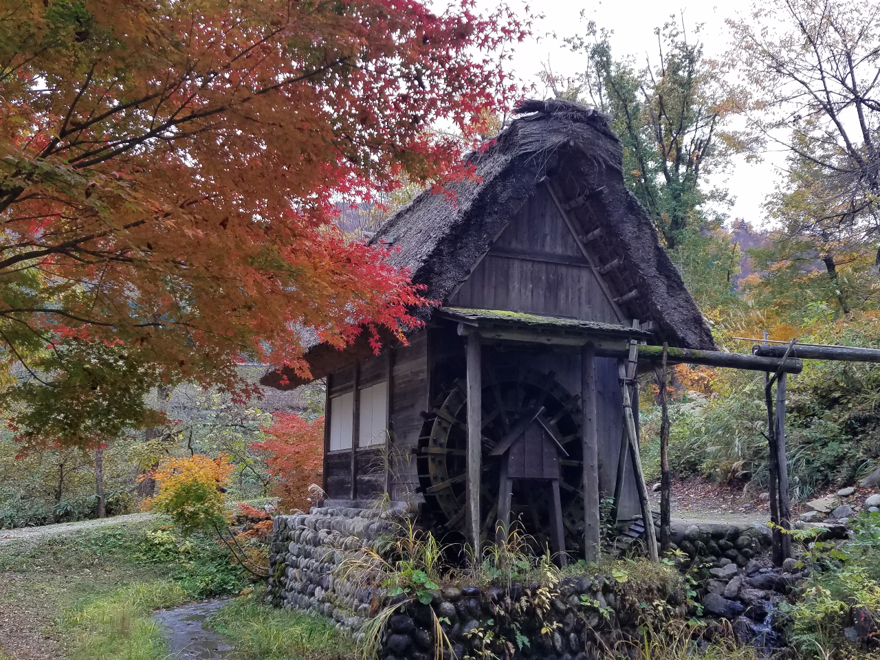 ���ԏ����@�A�j���̕���ő����̃t�@�����K��܂�