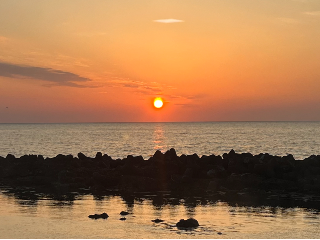 ق̐iFľ䗈ق҂vĂ܂