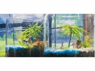 育て方がわかる コケテラリウム作り 板取の自然をあなたの暮らしの一部に 彡 Forest Knot じゃらん遊び体験 育て方がわかる コケテラリウム作り 板取の自然をあなたの暮らしの一部に 彡 Forest Knot じゃらん遊び体験