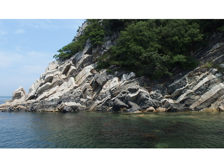 ��Q�W�I�T�C�g�|�C���g�u�����v���t�@�C�A�|�▬�v�X�O�O�O���N�O�̉ԛ���ɃZ�������N�q���₪�ѓ����Ă���[�u���͗l�B�P�X�S�Q�N�ɍ��w��̓V�R�L�O��