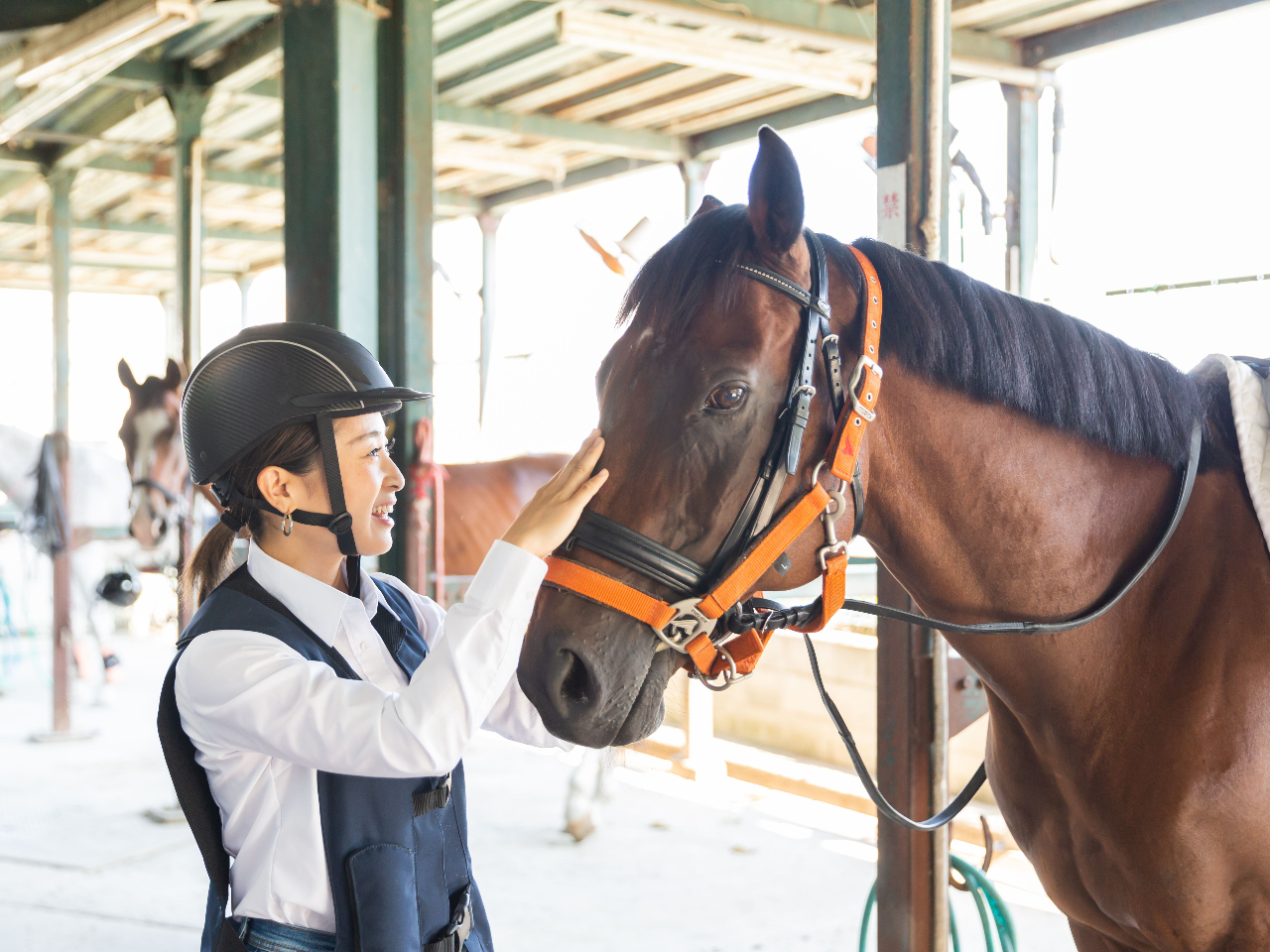 かわいい馬に癒されましょう!