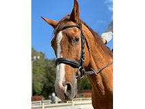 yVNgx[z˂ڂ񂾂ǌCɊ撣VNgx[B }Cy[Xɂ̂т݂ȂT|[gႤII