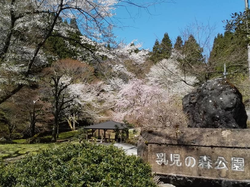 p̓Vc䂩̂ȂݍƓ_Ёi񂶂j܂A̐Xî肱jłBWnƎołB