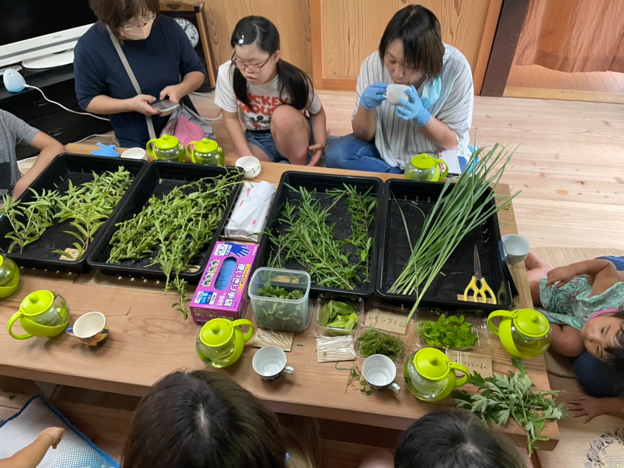 VRn[ueB̌́Au₩ȂƍŁAtbVbNXʂAqlł܂B