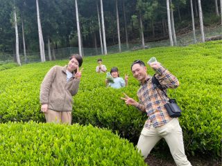 この日は青くて綺麗な神崎川の目の前の、矢口さんのお茶畑の見学やお茶摘みをしました。