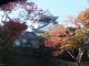 岡崎城と紅葉